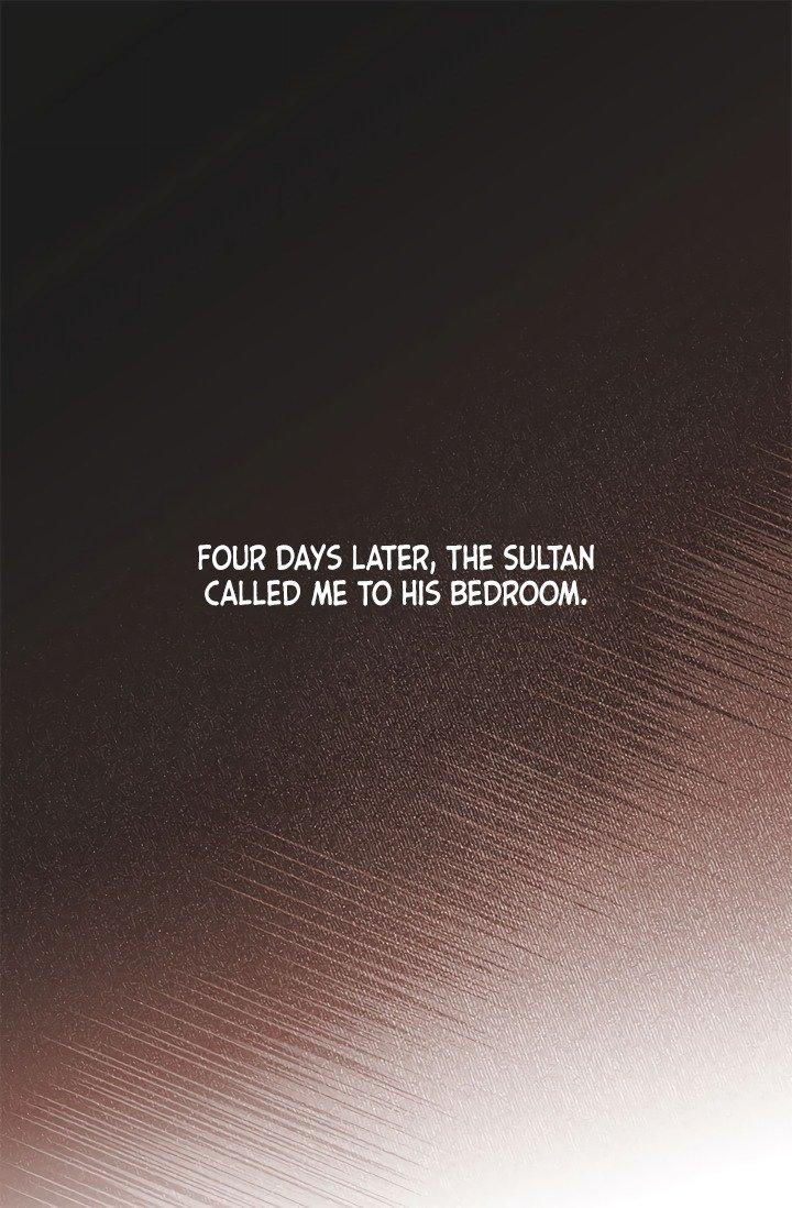 Sultan’s Love Chapter 1 - Page 38