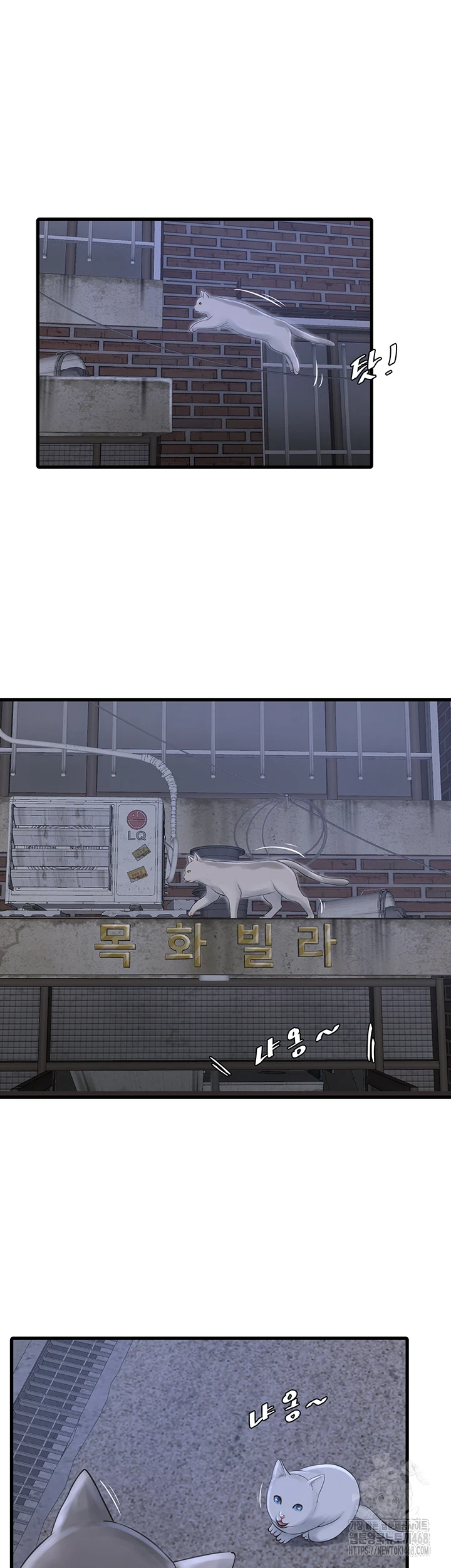 Ajummas Inspection Diary Raw Chapter 78 - Page 10