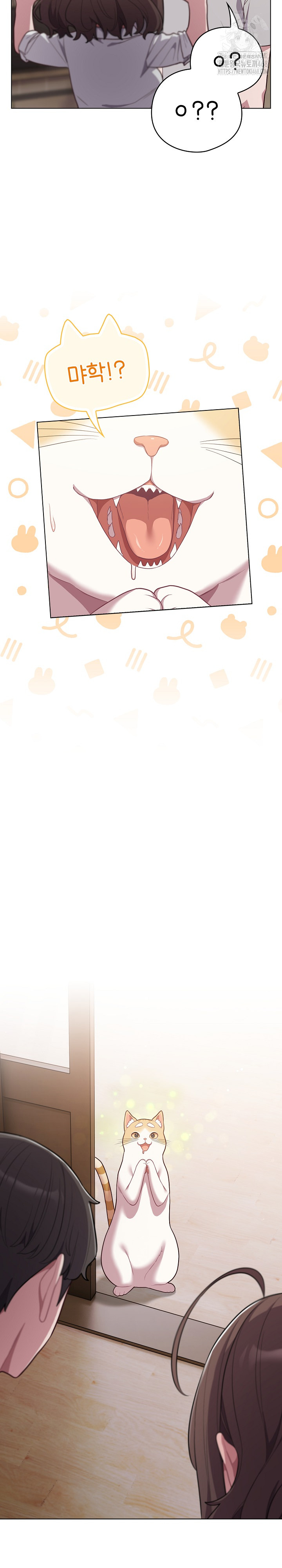 The General Is Here! Raw Chapter 47 - Page 17