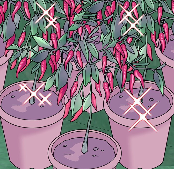 Bride’s Kitchen Chapter 10 - Page 151