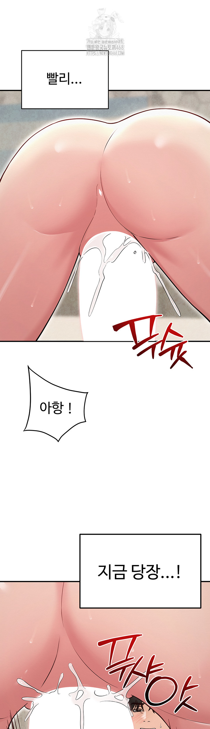 SNS Raw Chapter 32 - Page 54