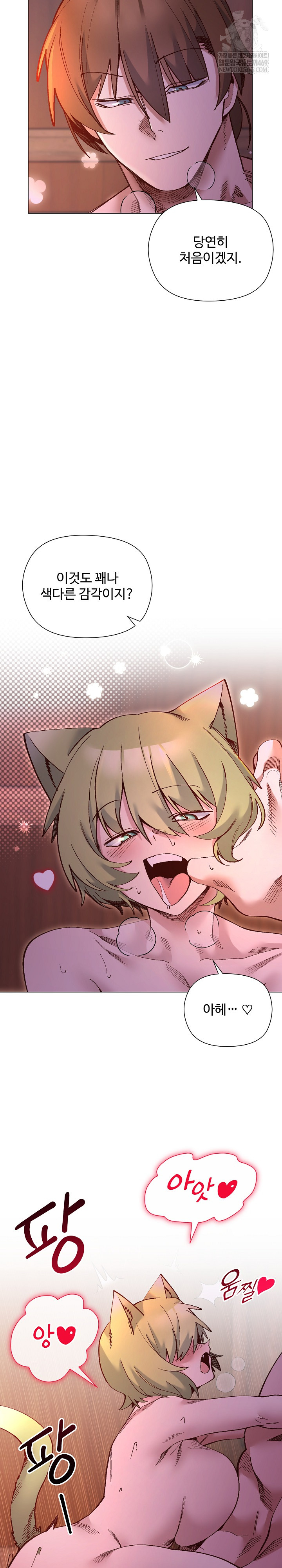 I Will Protect the Lady Raw Chapter 47 - Page 9