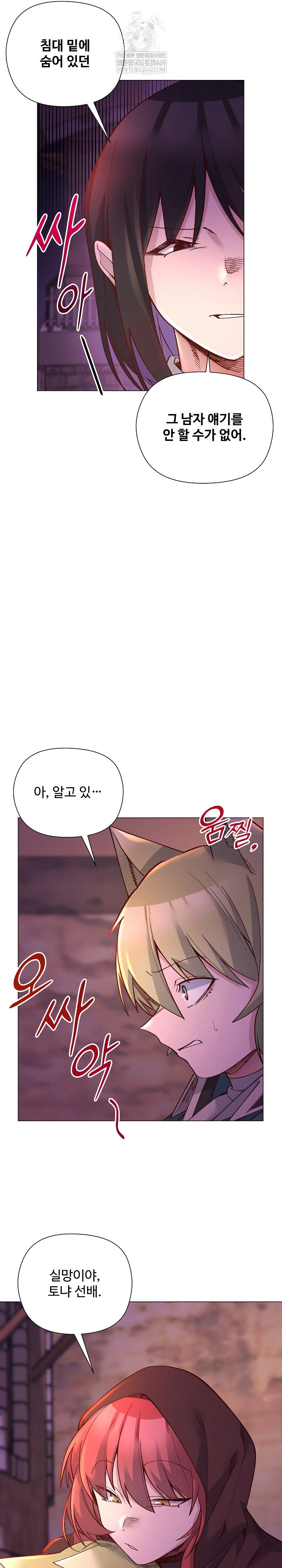 I Will Protect the Lady Raw Chapter 48 - Page 9