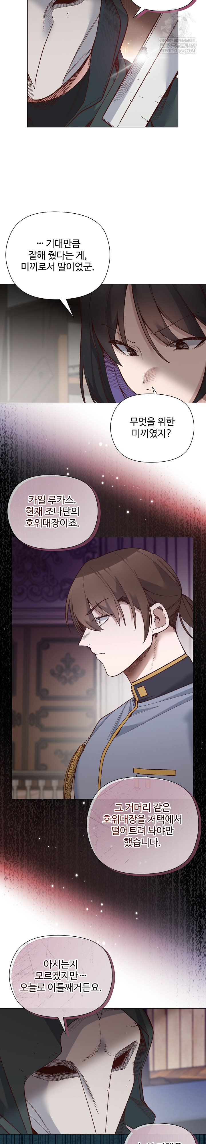 I Will Protect the Lady Raw Chapter 49 - Page 10