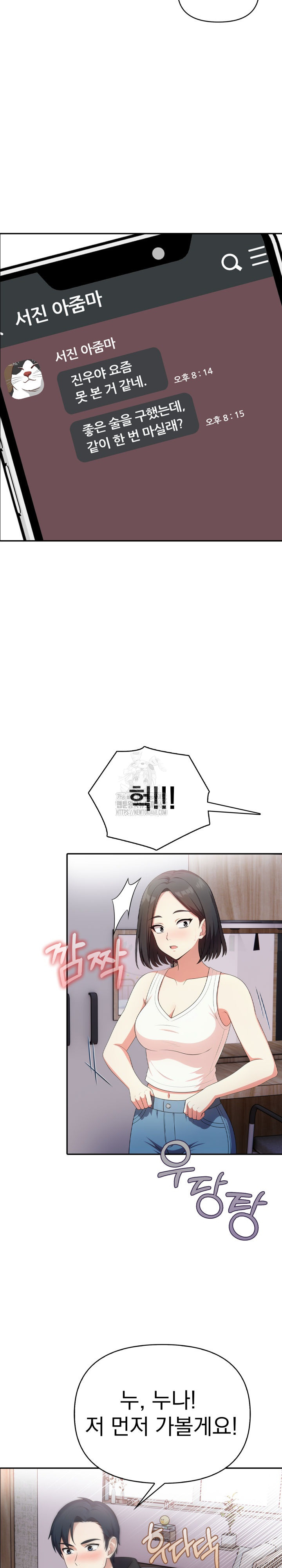 My Secret With My Auntie Raw Chapter 10 - Page 17