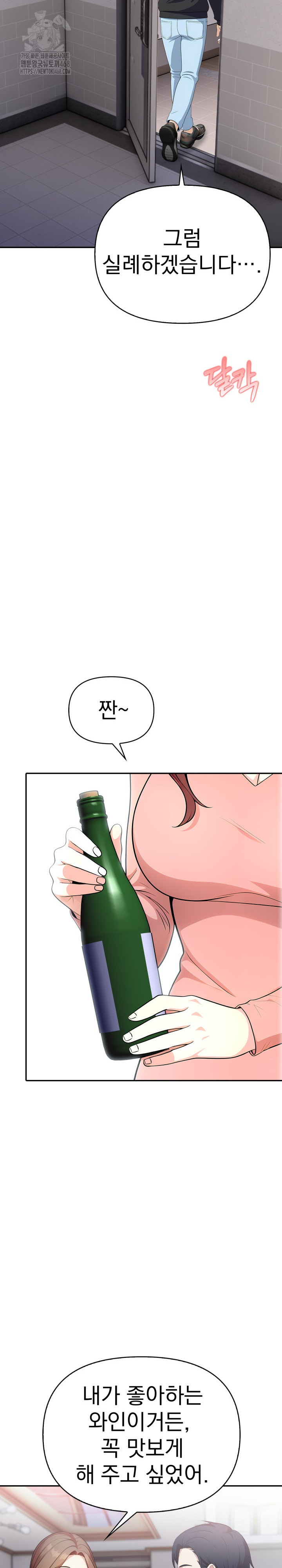 My Secret With My Auntie Raw Chapter 11 - Page 17