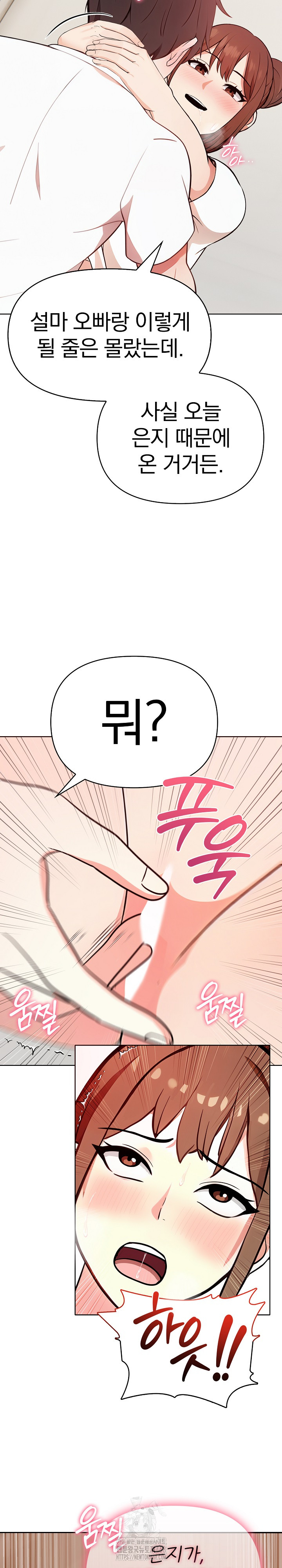 My Secret With My Auntie Raw Chapter 2 - Page 26