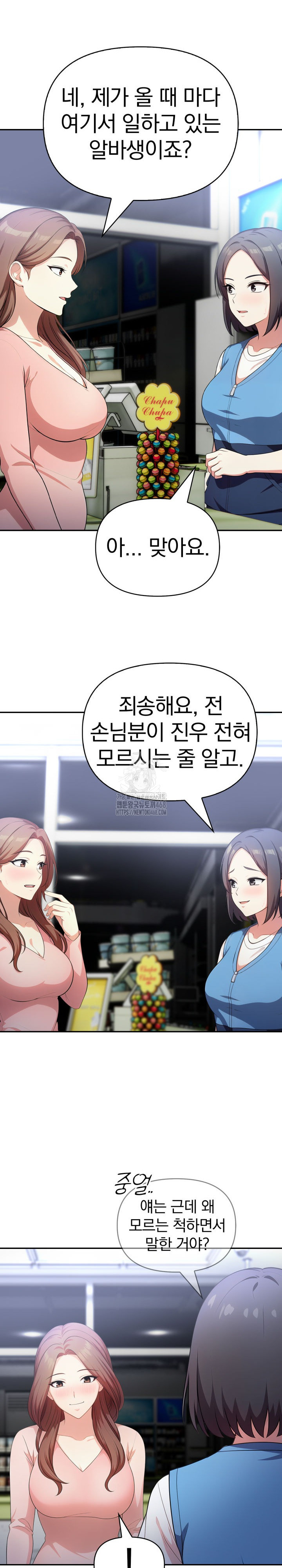 My Secret With My Auntie Raw Chapter 7 - Page 17